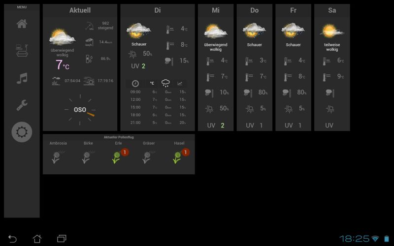 Die Wetterseite mit der Pollenfluginfo